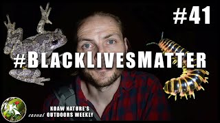 Fascinating Nocturnal Animals + Our Stance on #BlackLivesMatter + Wonderful Art | KNOW #41 by Koaw Nature 163 views 3 years ago 9 minutes, 8 seconds