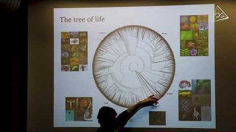 Evolutionary dynamics I