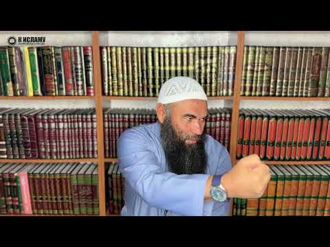 Почему люди разных рас?