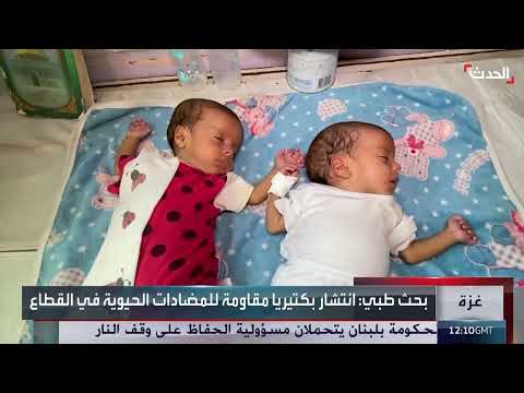 غزة: مقاومة البكتيريا للمضادات الحيوية تهدد الصحة العامة