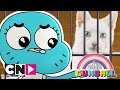 The Amazing World of Gumball | Pet Shop | Cartoon Network