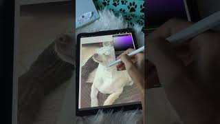 One Line Art Pet Portrait Tutorial Easy For Beginners