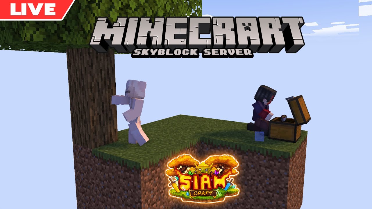 [🔴] Minecraft Skyblock Server 2 - YouTube