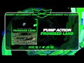 Dnzf1666  pump action  promised land official dnz records