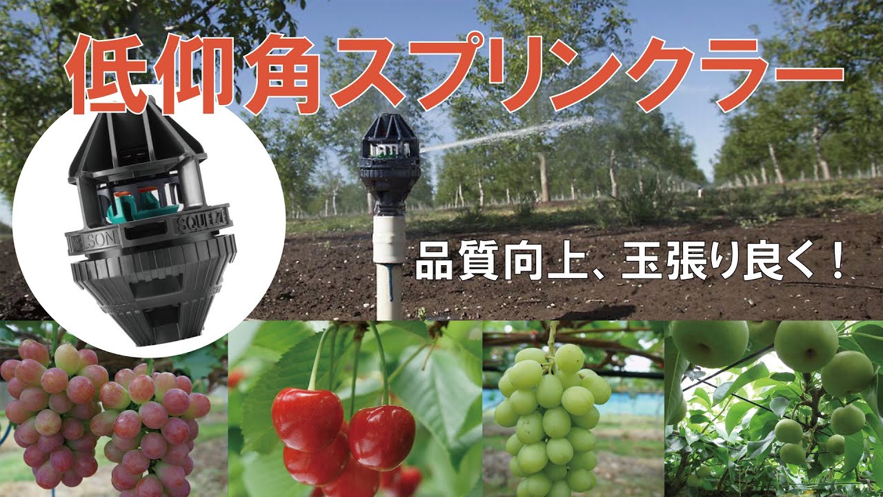 低仰角スプリンクラー【R2K46-G】R2000シリーズ_サンホープ - YouTube