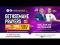 🔴Live 20/05/2026🔴 WED. MORNING SESSION (MAY GETHSEMANE PRAYERS)