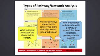 Celebrity Introduction to Pathway and Network Analysis Profile