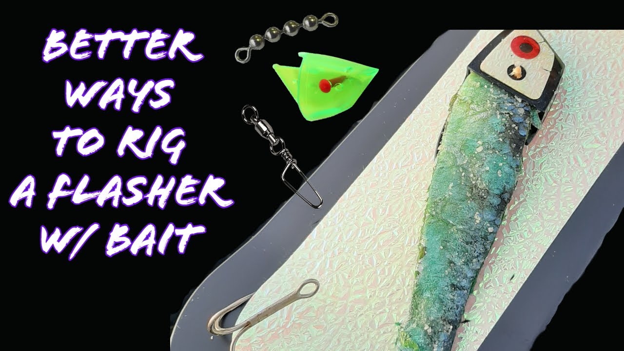 How to rig cut bait behind a flasher for salmon 