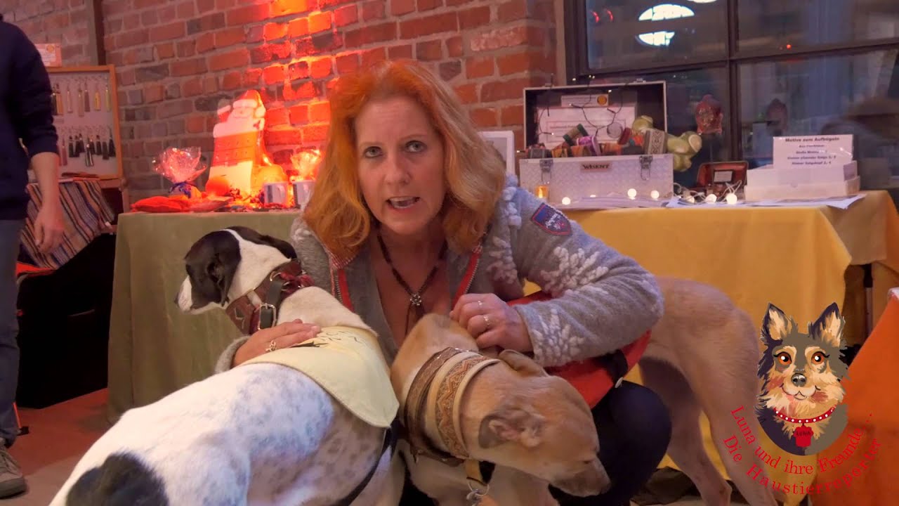 5. Weihnachts-Hundemesse - Kloster Knechtsteden in Dormagen am 29. November 2015