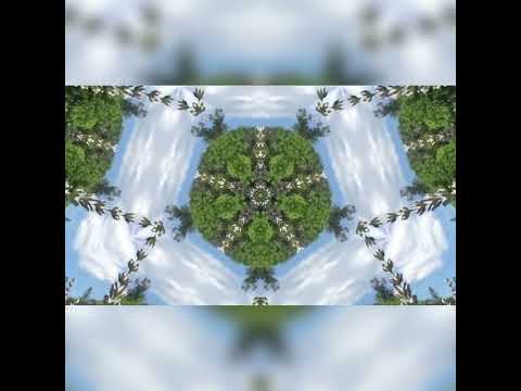Escuchá «Butterflies», una canción inédita de Mac Miller