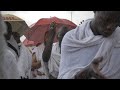 Hajj journey 2019 documentary  4k