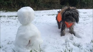 We Have Snow! ❄️ ⛄️