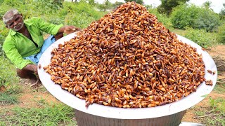 winged termites recipe | winged termites Snacks | winged termites Cooking\/ food fun village