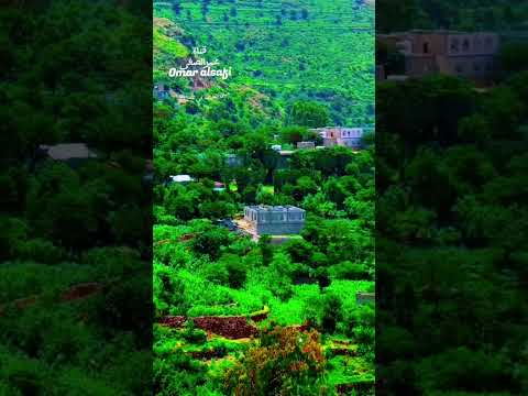 سكن عيوني سهاد شلت منامي عيونه اجمل اغاني الفنان ايوب طارش