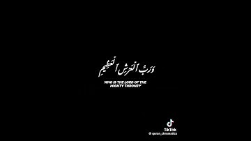 سورة المؤمنون بصوت الشيخ ياسر الدوسري🥰🌹 #miss #اكسبلور #دويتو #حالات_واتس #تيك_توك #viral