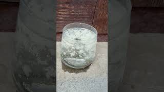 9355122663 #def #urea #adblue #cleaning #chemical