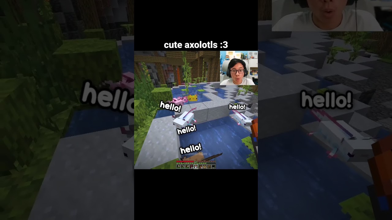 Minecraft Cute Axolotls Moment