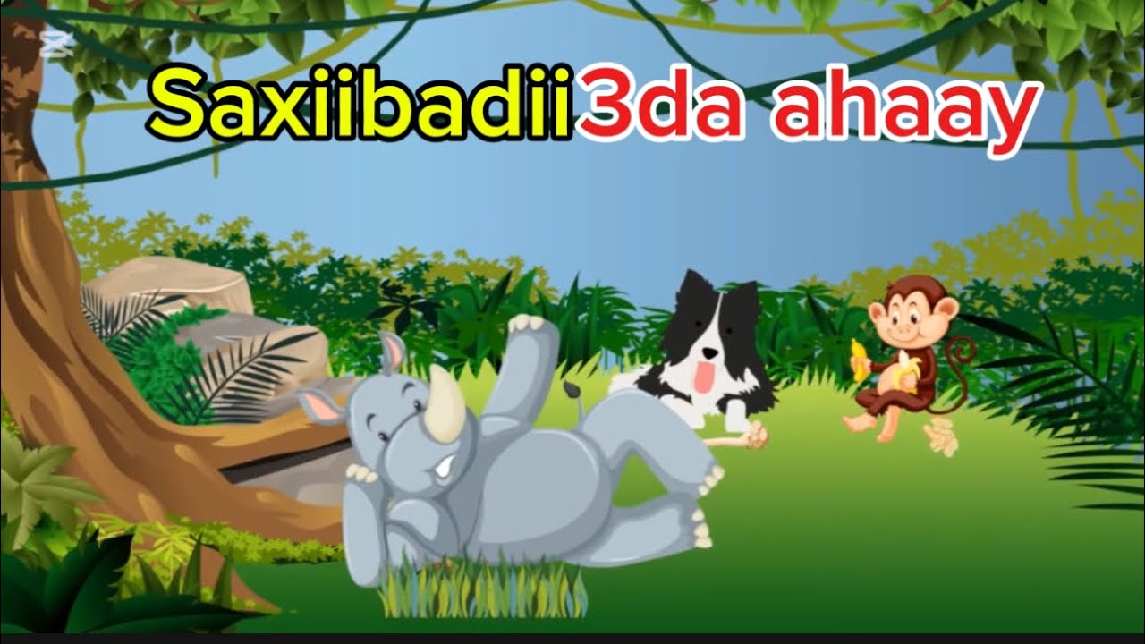 Skeeka sheeko sheeko xariiro