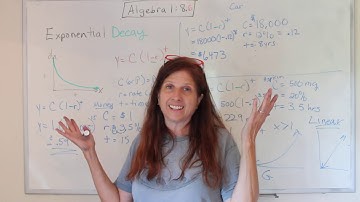 Algebra 1: Exponential Decay (8.6)