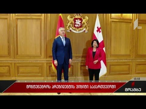 მონტენეგროს პრეზიდენტის ვიზიტი