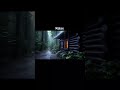 #viral #rain #rainsounds #relax #shorts #meditation ##relaxingvibes #everyone #foryoupage