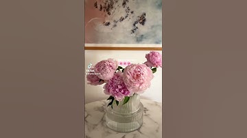 Peony season #peonies #traderjoes #cozyhome