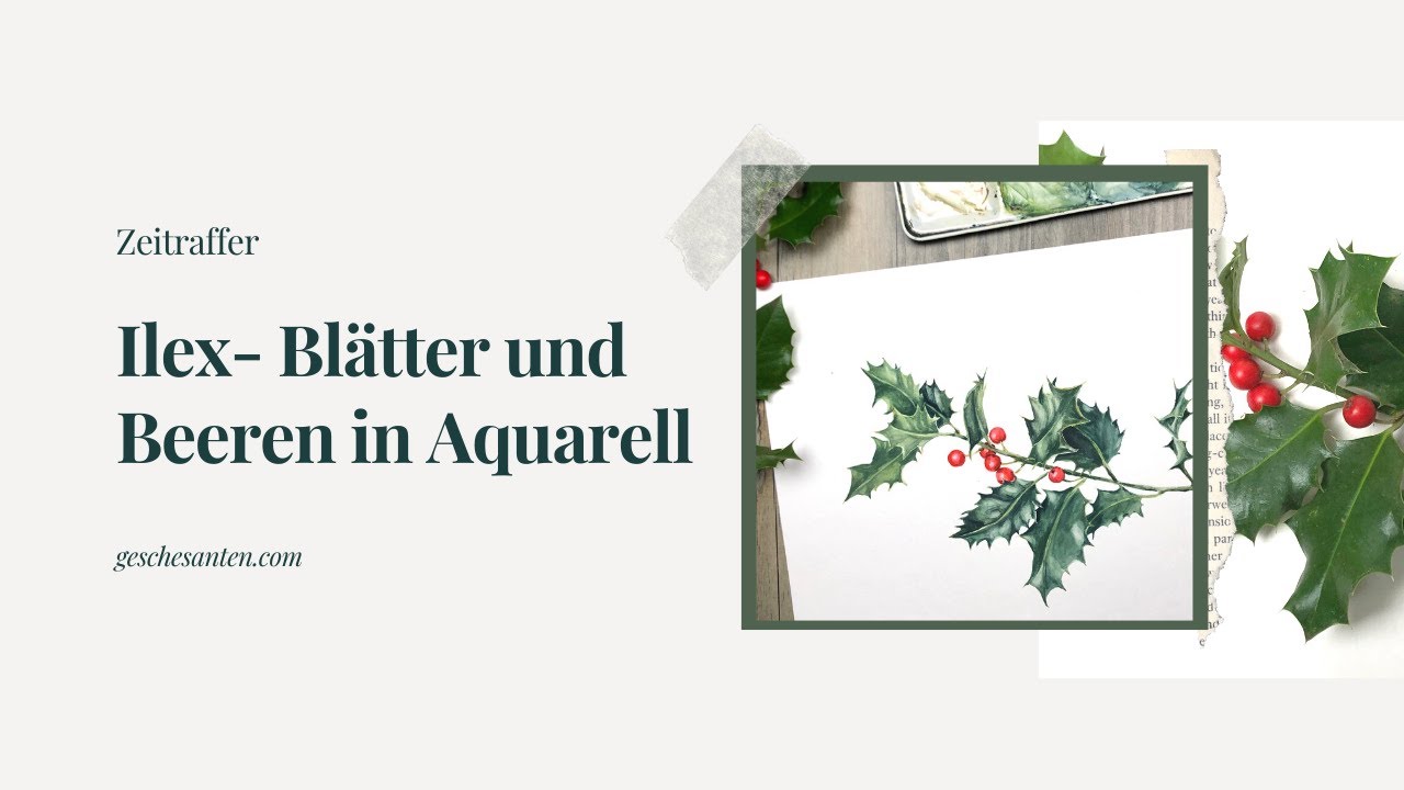 Ilex Bltter und Beere Schritt fr Schritt in Aquarell (Zeitraffer)