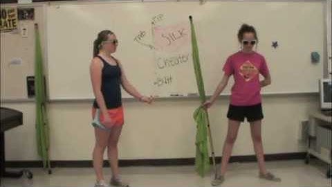 Colorguard Parade Rest - Wildcat Marching Academy