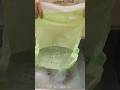 レタスの食品サンプル　The process of making lettuce food samples. #food #process #食品サンプル #食べ物