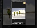 Clone object in photoshop - Short Photoshop tutorial