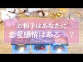 ハッキリお伝えします‼️辛口あり⚠️【恋愛💕】お相手はあなたに恋愛感情を持ってる？【タロット🌟オラクルカード】片思い・復縁・音信不通・疎遠・冷却期間・片想い・あの人の本音・気持ち・複雑な恋・未来