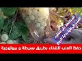 تخزين العنب بطريقة صحيحة وبسيطة المحافظة على عناقيد العنب الى غاية بداية فصل الربيع تخزين العنب بطريقة صحيحة وبسيطة المحافظة على عناقيد العنب الى غاية بداية فصل الربيع