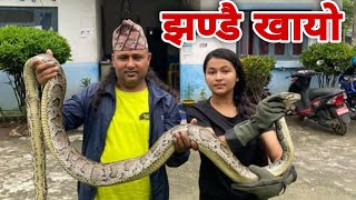 सर्पसङ्ग गाउँलेको माया गाँस्दिने १८ बर्षिय खुस्बु । Yamlal Bhandari And Khusbu, Chitwan Nepal, Snake