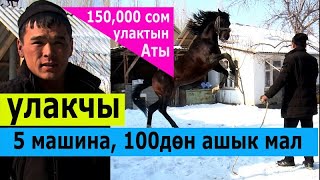 картинка: 10 жылда 5 автоунаа, 100дөн ашык жандык уткан НООКАТТЫК  улакчы