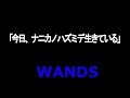 WANDS 「今日、ナニカノハズミデ生きている」 を歌ってみた。
