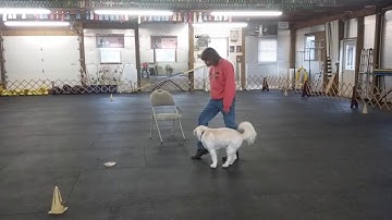 HHT6 - Delayed Reinforcement