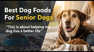 ✅ TOP 5 Best Dog Foods For Senior Dogs | How Do I Find the Right Food for My Senior Dog?