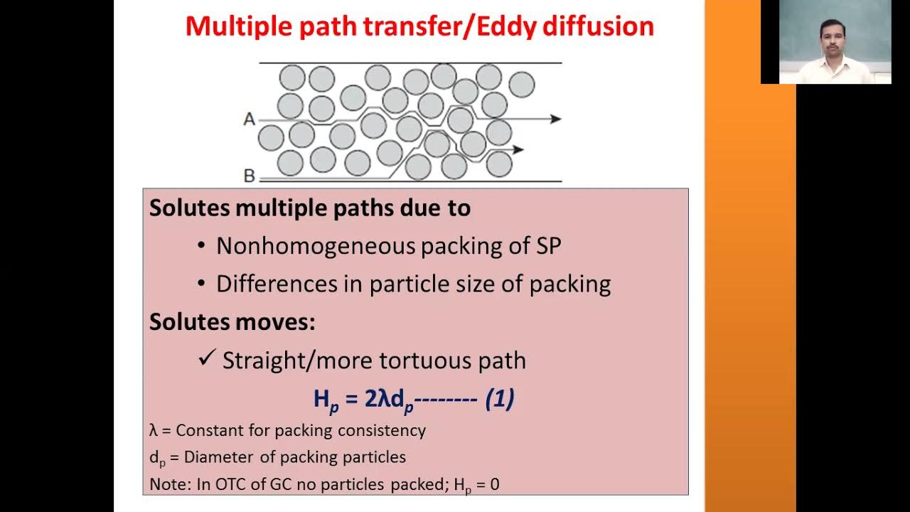 Theory of band broadening in chromatography YouTube