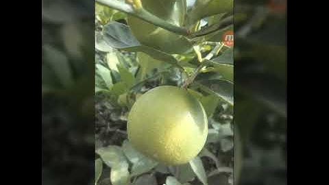 Fireball 3D game review