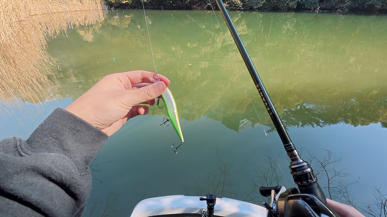 📍弁慶堀　シーズンイン あったかくなったので釣りにきました