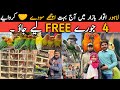 Lahore Sunday Birds Market Latest Price Update | @Parrots Information Channel 18 February 2024