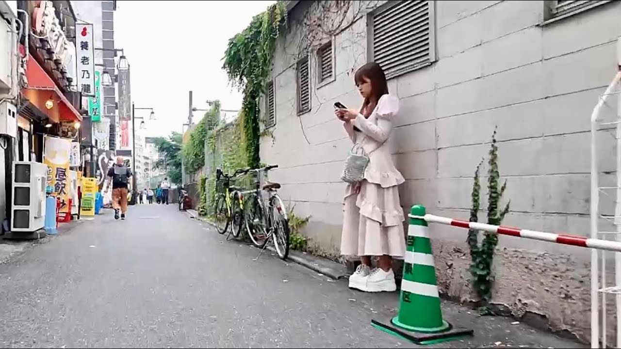 One of Japan's leading love hotel districts/Tokyo Uguisudani.