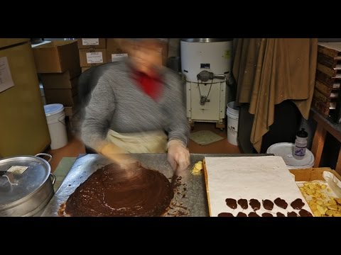 candy petřvald Chocolate Covering Animal Crackers Timelapse