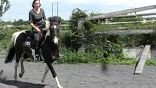 MVI_6556.AVI