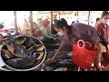 Have you ever eaten these Mekong River fishes / Grilled fishes with chili pickled bean sprout recipe