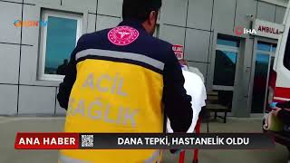 Dana Tepti, Hastanelik Oldu