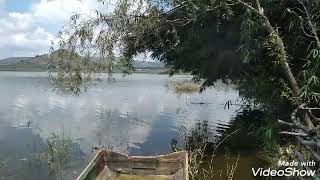 Ayotlan Jalisco una de muchas presas Domingo Familiar vista sobre la hermosa presa ????????⛅??
