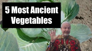 The 5 Most Ancient Vegetables We Grow Today