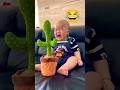 Cute Mexica Plush Dancing Cactus Electric Plush Toy Cute Mexica Plush Dancing Cactus Electric Plush Toy