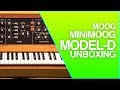 Moog Minimoog Model D | Quick Unboxing